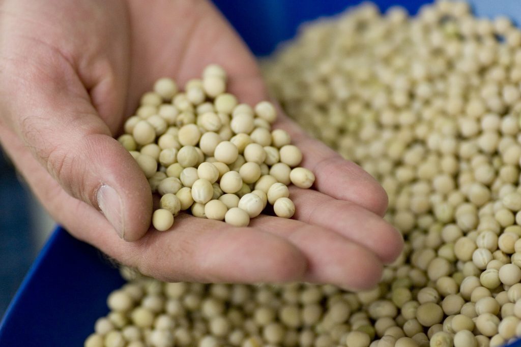 CATEGORY H: SEED TREATMENT