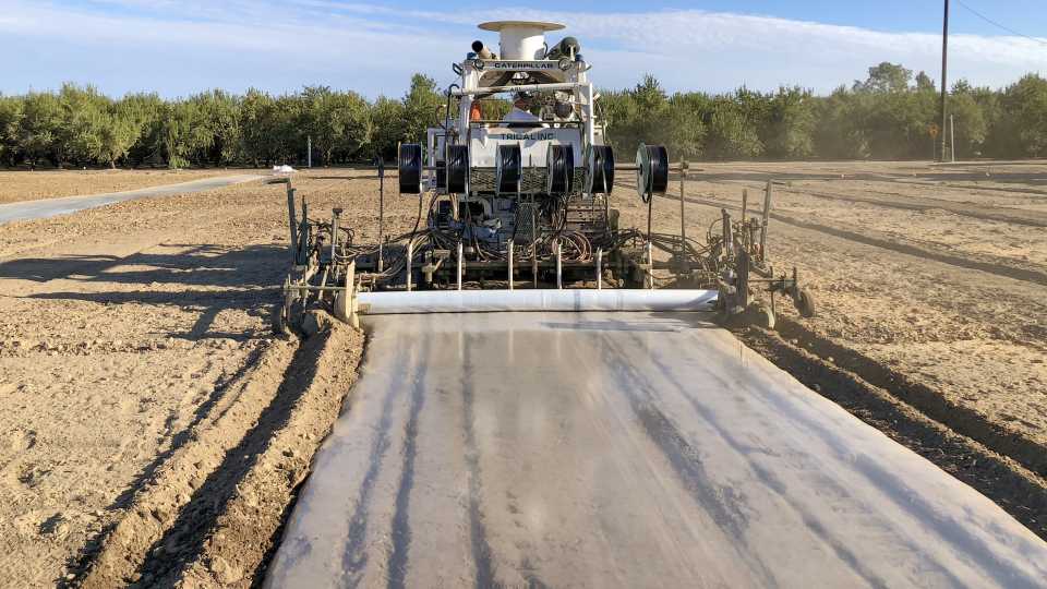 CATEGORY L: SOIL FUMIGATION